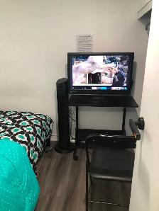 Furnished Room for Rent in Scarborough (Daily/Weekly Payment) - Photo 4