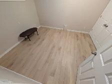 2 Bedroom Basement Suite with Tall Ceilings and Walk-In Closet - Photo 10