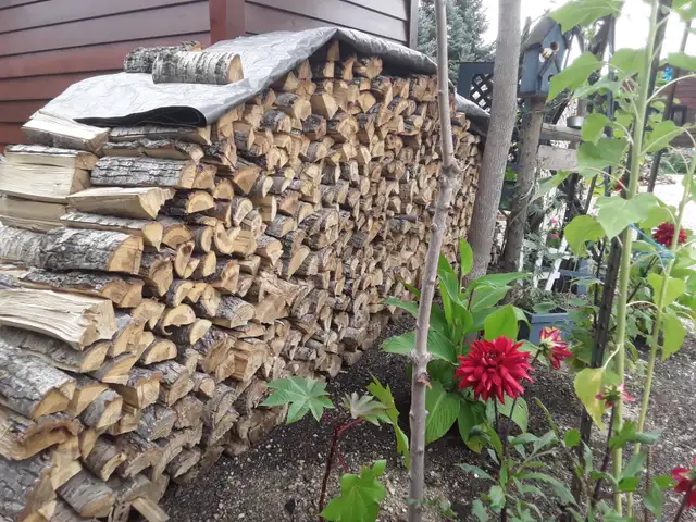 Lac du Bonnet Poplar Firewood for Sale