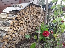 Lac du Bonnet Poplar Firewood for Sale