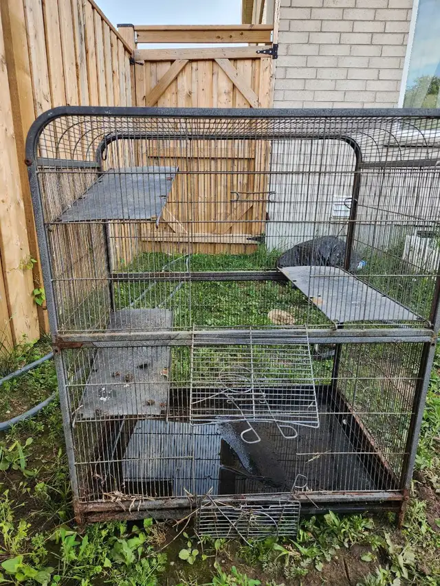 BIG BIRD OR PIGEON CAGE FOR SALE