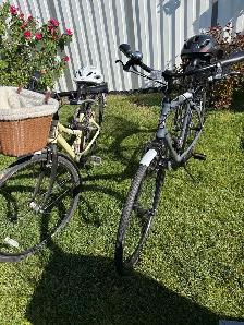 He and she Bicycles - Photo 4