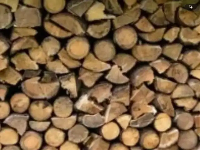 bois de chauffage pour camping