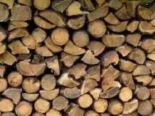 bois de chauffage pour camping