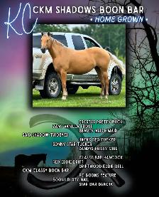 2026 Red Roan AQHA Filly - Photo 10