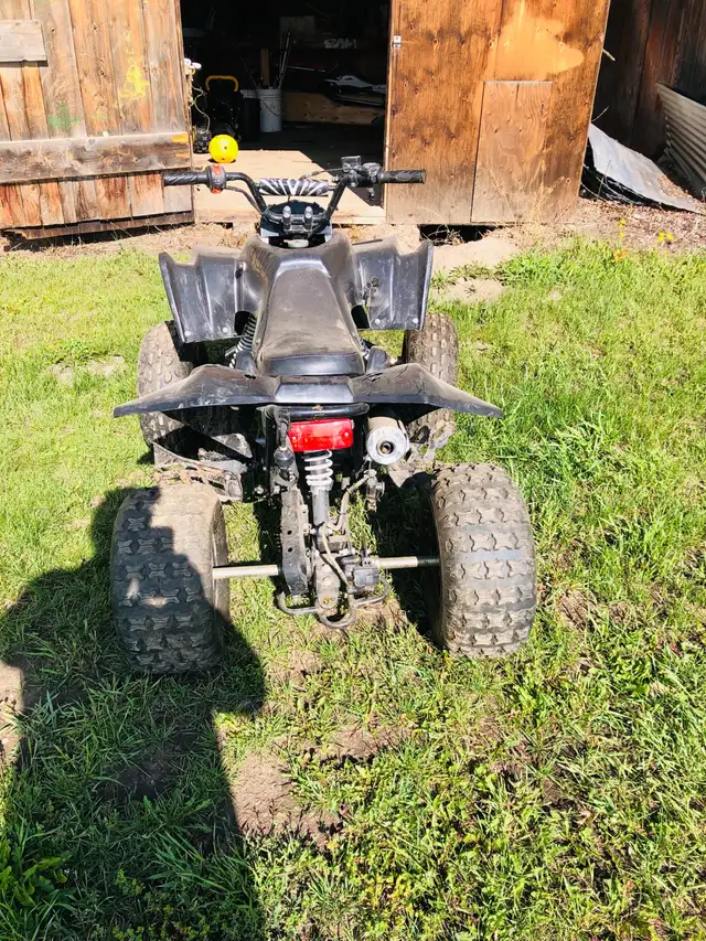 Gio 110 quad
