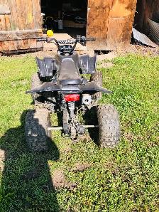 Gio 110 quad