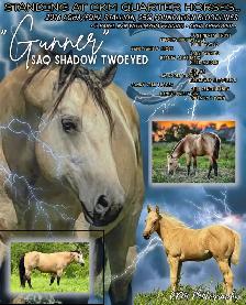 2026 Sorrel AQHA Filly - Photo 9