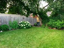 BASEMENT APARTMENT FOR RENT – AVAILABLE FROM OCTOBER 1st - Photo 10