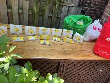 4 Bags Full of New Unopened CERTI-PAD Gauze Pads & Rolls !
