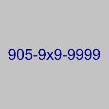 Memorable 905 416 Toronto area code numbers available