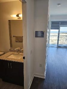 Available for Lease(LJM Tower): One year New 1 Bedroom   Den - Photo 6