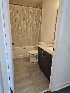 Available for Lease(LJM Tower): One year New 1 Bedroom   Den - Photo 11