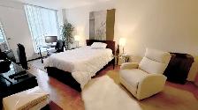 NORTH YORK 2 ROOMS @ 401 & DON MILLS RD. BUS STOP@ THE PLACE - Photo 10