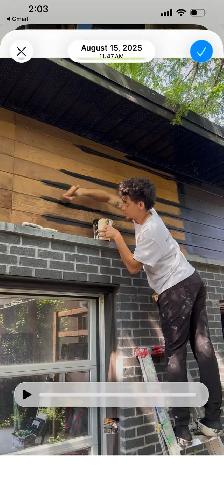 painter (professional) - Photo 8