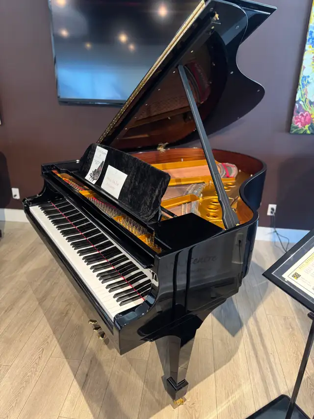 Steinway Spirio Model M grand piano - Demo model