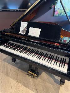 Steinway Spirio Model M grand piano - Demo model - Photo 2