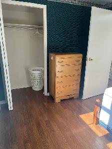 Room For Rent Near Newnham Campus (URGENT) Student Welcome - Photo 3