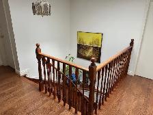 Room For Rent Near Newnham Campus (URGENT) Student Welcome - Photo 8