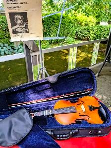 Violon débutant 4/4 ZEV