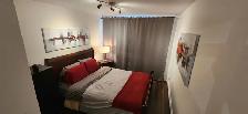 ROSEMONT – Dispo MAINTENANT – TOUT CECI MEUBLÉ- Neuf 3 1/2 - Photo 6