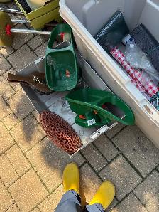 Free various Garden stuff