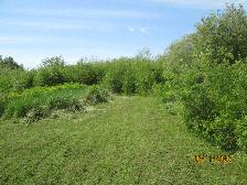 BRULE -Camper building lot/land FOR SALE - Photo 7