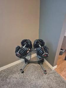 Bowflex Selectech Dumbells