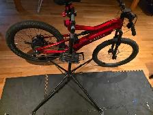 FS: nireeka 1000watt ebike