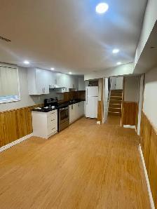 1-Bedroom Walkout Basement Apartment