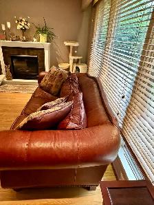 100% Cowhide Couch Chair and Ottoman - Photo 9