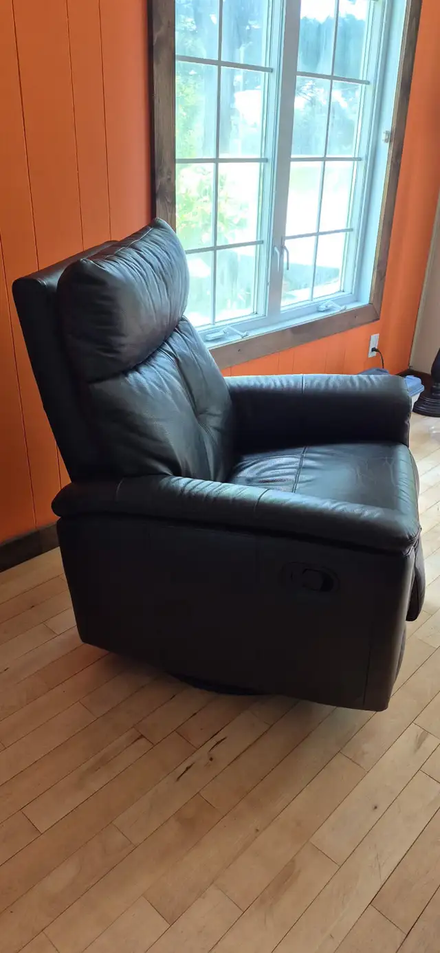 Fauteuil de cuir