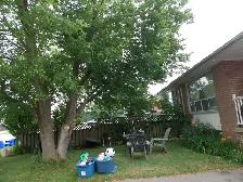 SPACIOUS 3BED. 1 BATH. 1 4-PC BATH. 2 PARKING . MAIN FLOOR - Photo 16
