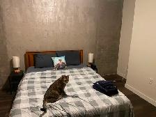 2 Bed, 2 Bath   Den in Fairview - Lease Takeover - Oct 1st 2026 - Photo 4
