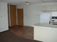 LARGE 1 BEDROOM - 1919 7TH STREET E.(HOLLISTON) - Photo 2