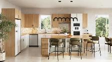 Introducing the Econoline Kitchen Cabinet – Affordable Cabinet