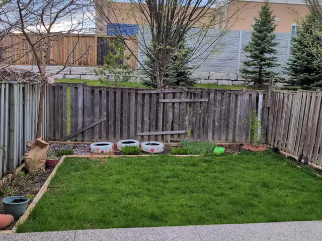 grass cutting and weed control 289-772-7822