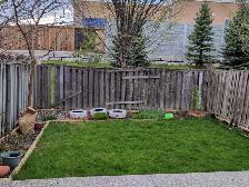 grass cutting and weed control 289-772-7822