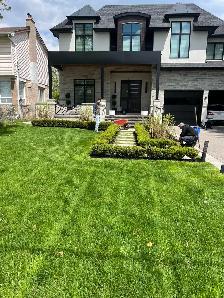 grass cutting and weed control 289-772-7822 - Photo 3