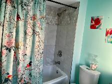 Furnished Master bedroom for rent, Utils, internet, cable 1,150 - Photo 6