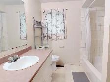 All inclusive large private bedroom close to Carleton/Algonquin - Photo 6