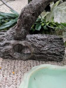 Frog stuff and fish tank - Photo 4