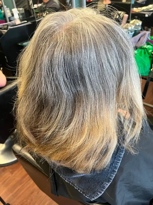 Root Touch Up Models (Wanted)