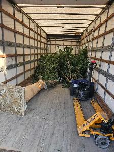 Moving Help - Photo 5