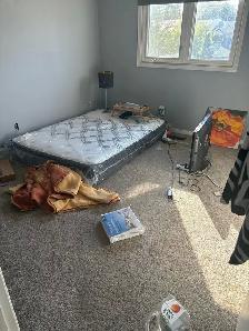 cleaner available - Photo 2