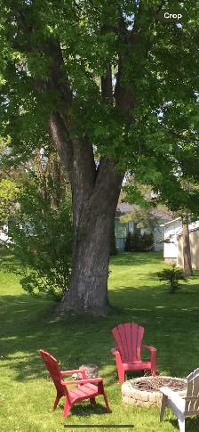 house for sale - Photo 2