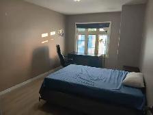Two bedrooms for rent -Kitchener /Waterloo - Photo 4