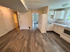 2 Bed, 1 Bath Basement Duplex