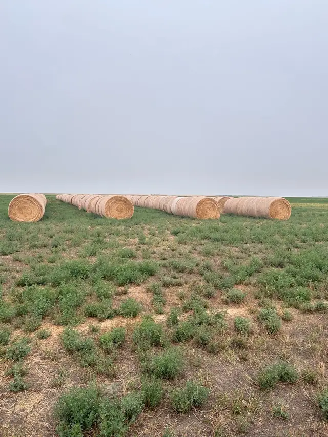 hay bales