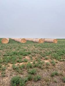 hay bales